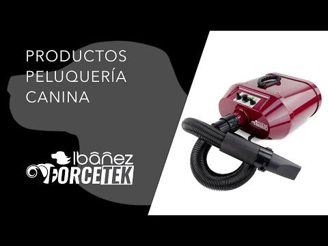 Vidéo de présentation Forcetek Pulseur Séchoir Bi-Moteur (débit 146L/s)
