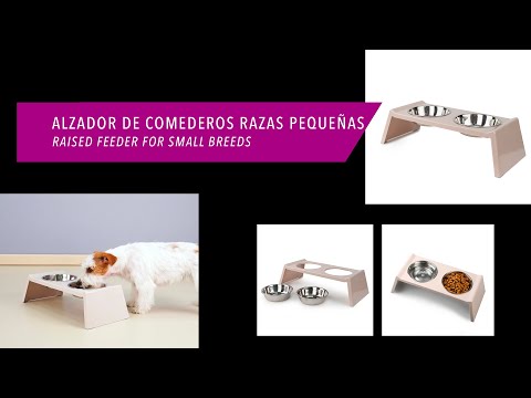 Vidéo de présentation Double gamelle surélevée inox Ibáñez petites races 2 x 350 ml
