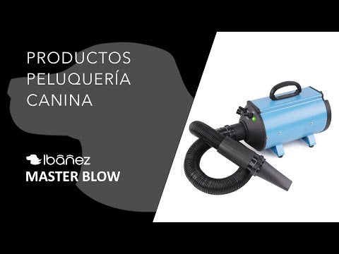 Vidéo de présentation Pro Masterblow Pulseur/Sechoir sur Pied