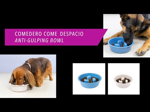 Vidéo de présentation Gamelle anti-glouton Ibáñez en mélamine pour chien
