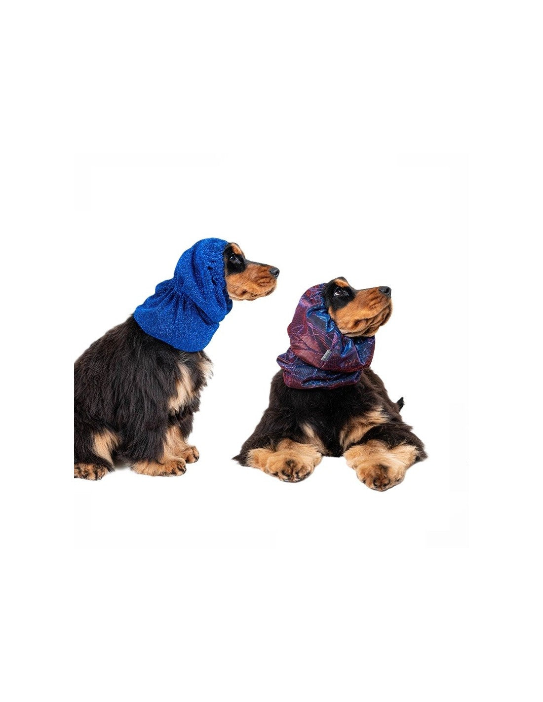 Snood Luxe pour Chiens – photo 7