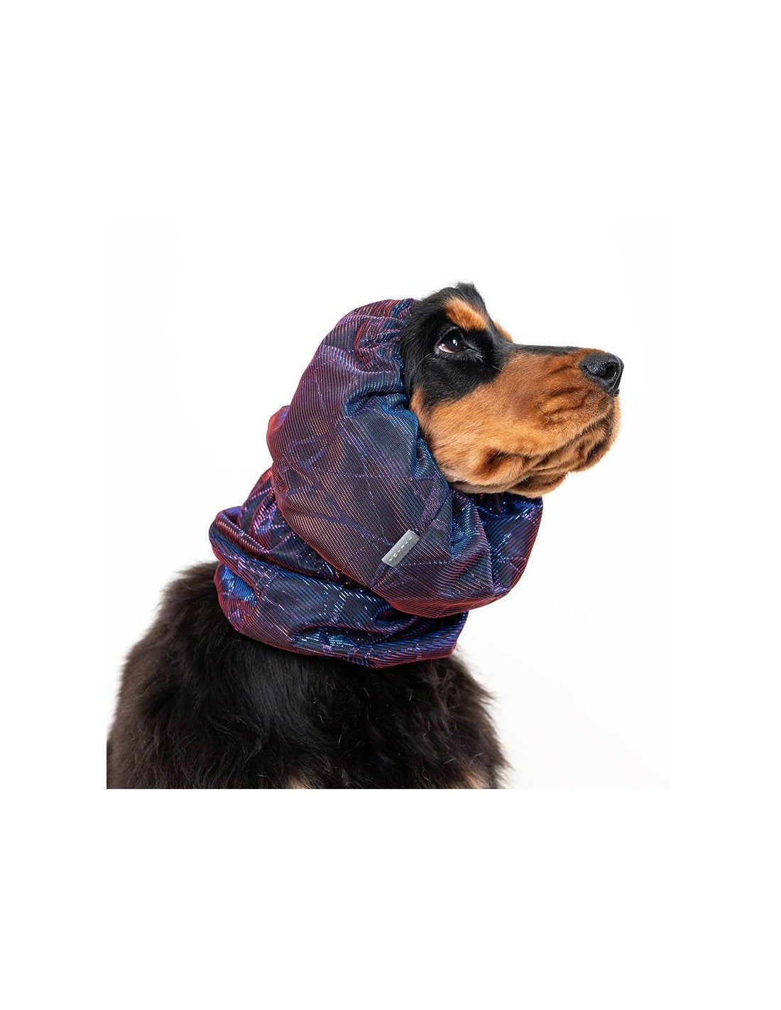 Snood Luxe pour Chiens