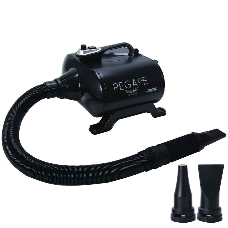 Pulseur 2 moteurs Maestro (débit 150L/s)