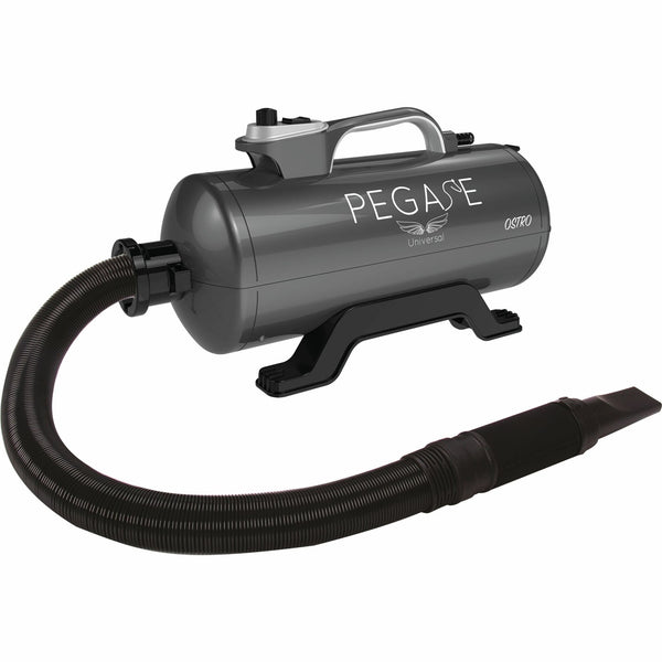 Pulseur séchoir Ostro double moteur : pulseur gris avec flexible