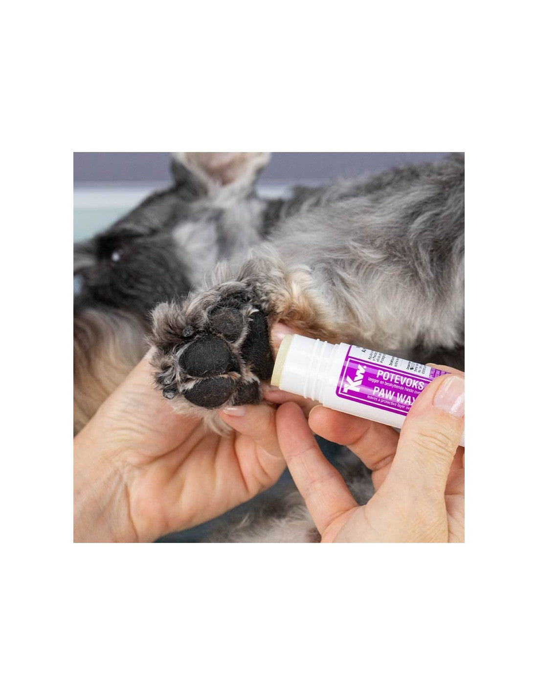 Réparateur de Coussinets chien (blessure, saignements, etc) – photo 2
