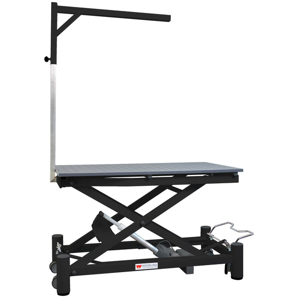 Table de toilettage électrique Stabilo Elite Black : table noire avec potence