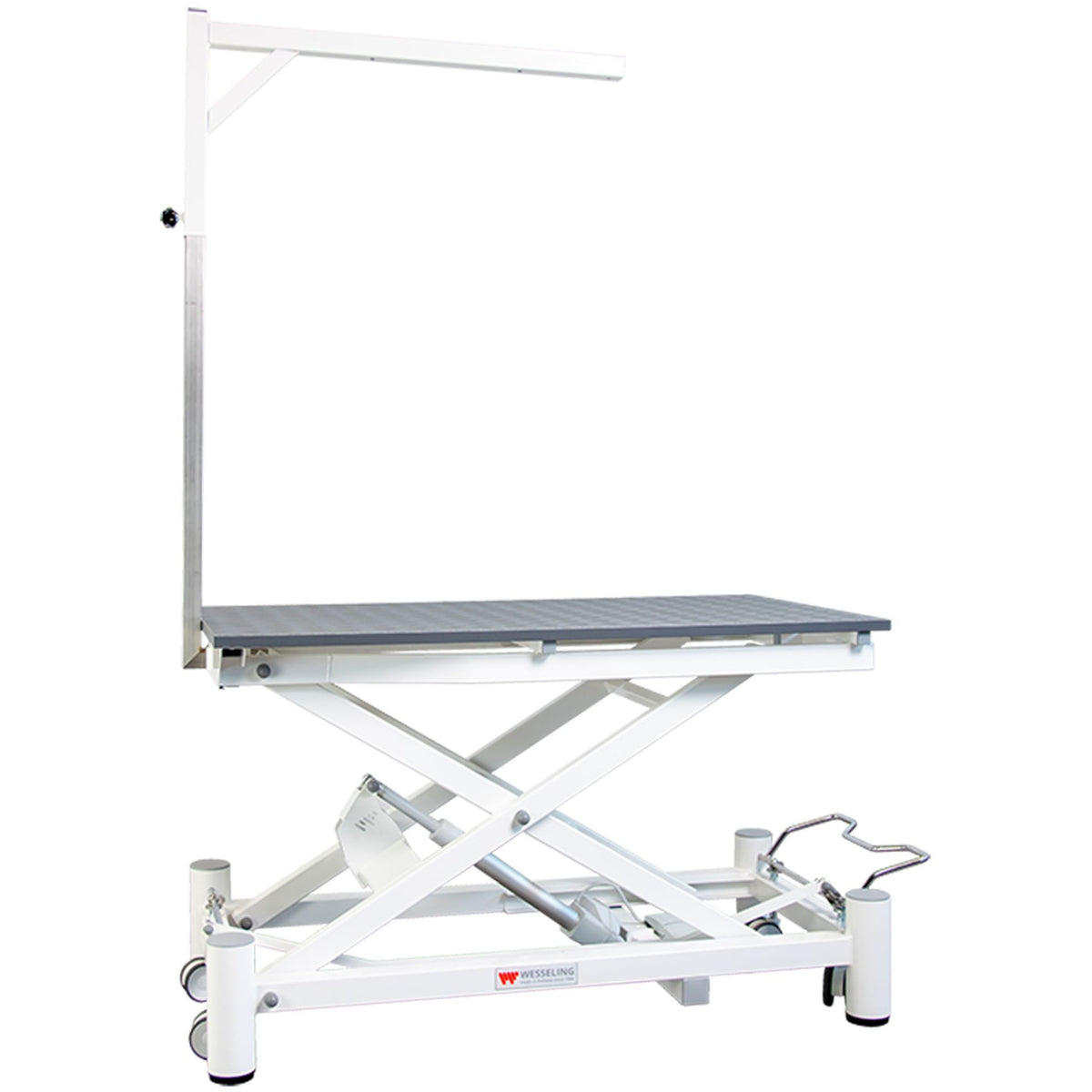 Table de toilettage électrique Stabilo Elite : table électrique blanche avec potence