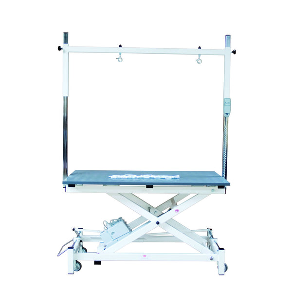 Table de toilettage électrique Stabilo Super New : table électrique avec potence double