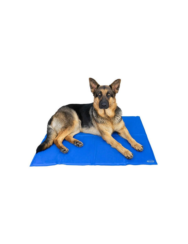 Tapis rafraichissant IBA