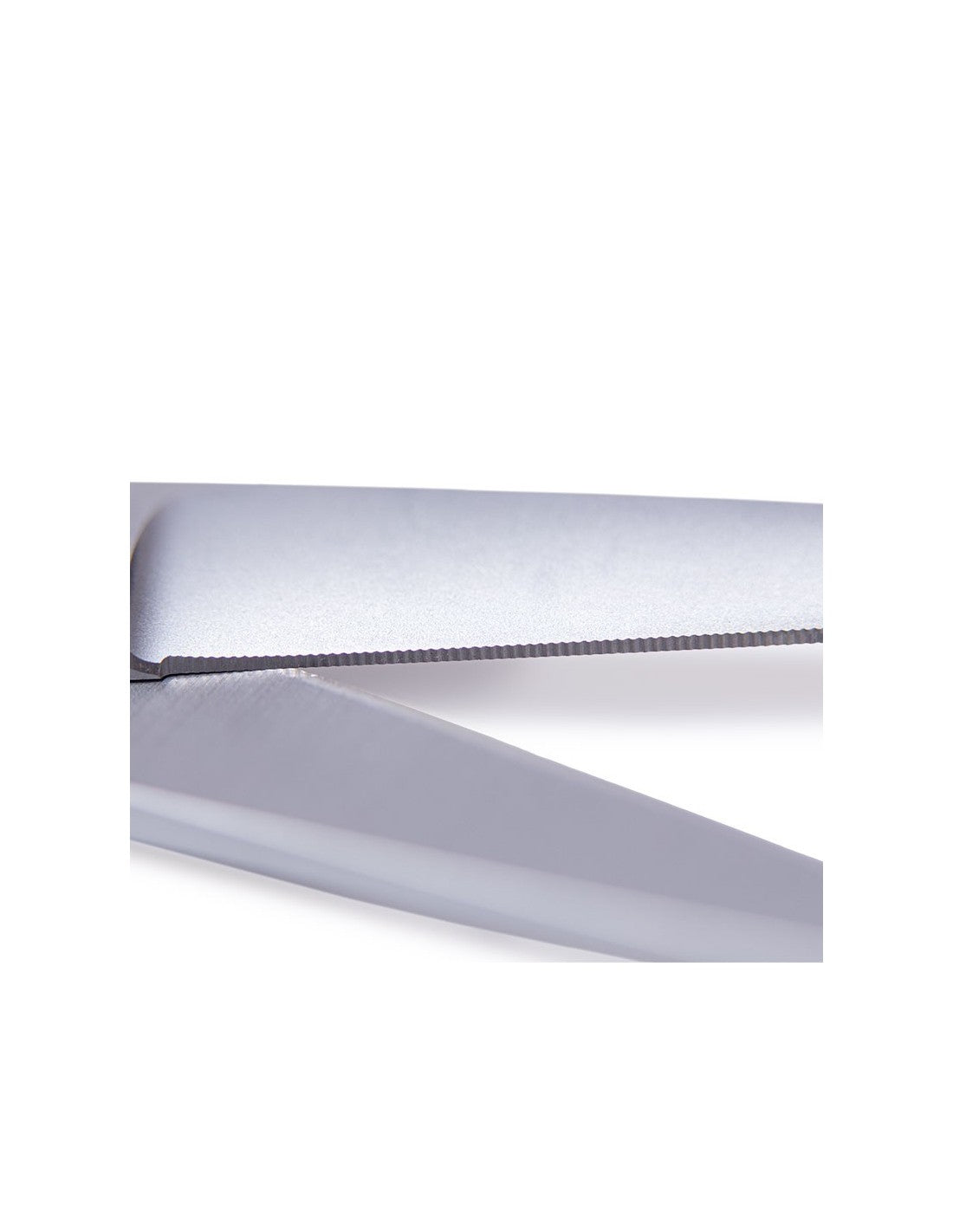 Ciseaux Droits Ibá Ritz12,5cm Toilettage – photo 4