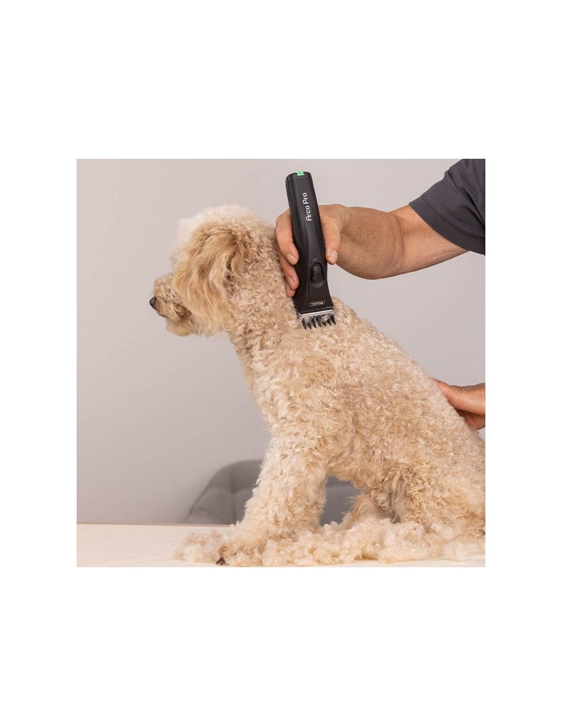 Wahl Arco Pro – photo 2