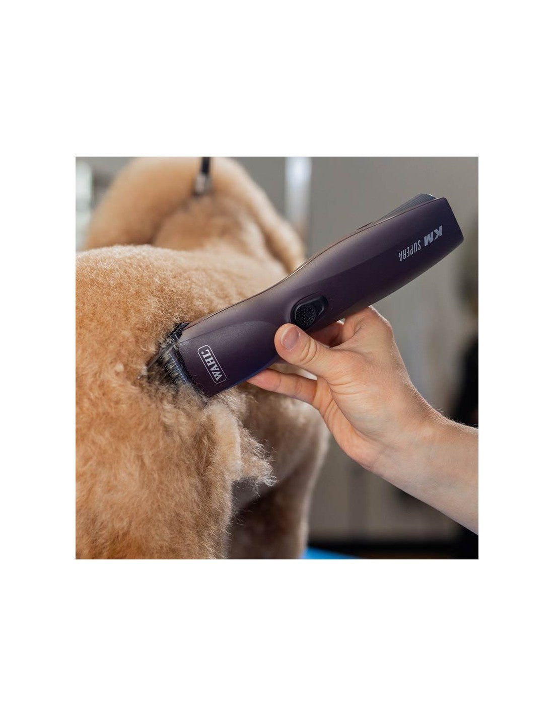 Wahl KM SUPERA (batterie) – photo 2