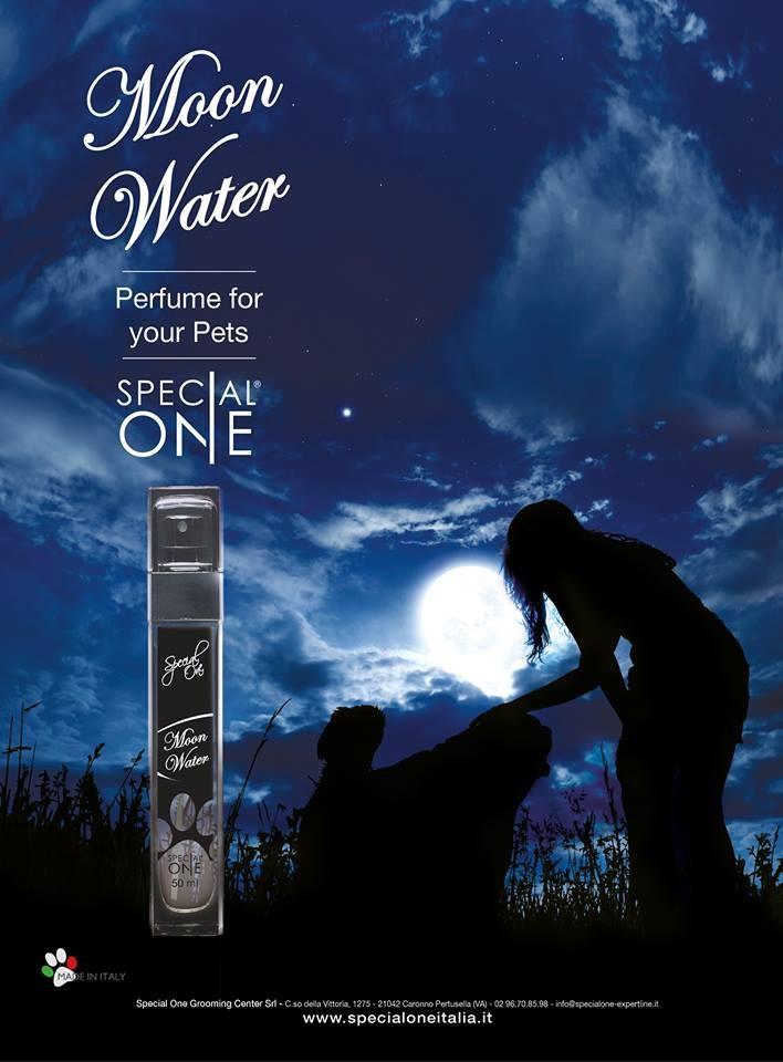 Parfum de Luxe, by Special One - Petdesign.fr Endemik Sas Bain pour chien en France, produit de haute qualité