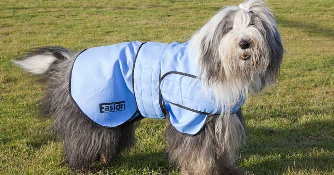Manteau rafraichissant pour chien Easidri Cooling Coat - Petdesign.fr Easidri Vie Quotidienne pour chien en France, produit de haute qualité