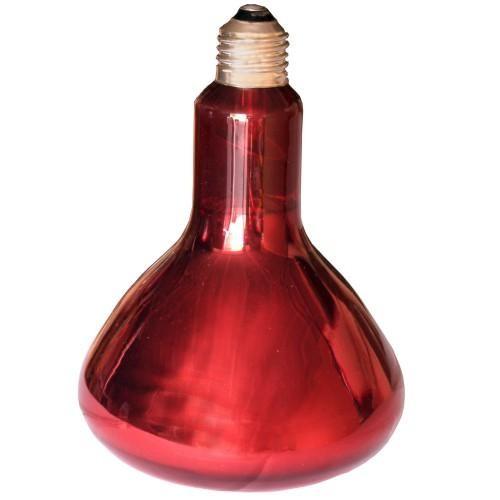 Lampe Infrarouge 250 W. pour portée chiots - Petdesign.fr Setter Bakio S.L. Vie Quotidienne pour chien en France, produit de haute qualité