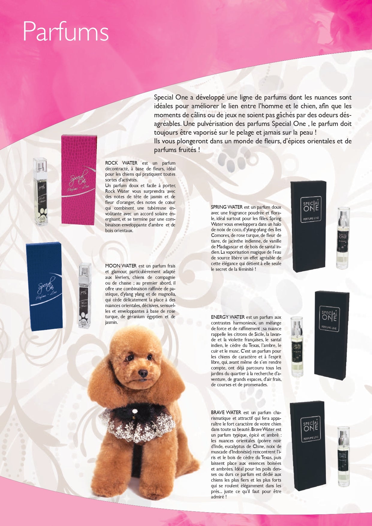Catalogue Petdesign (papier ou téléchargeable gratuitement)