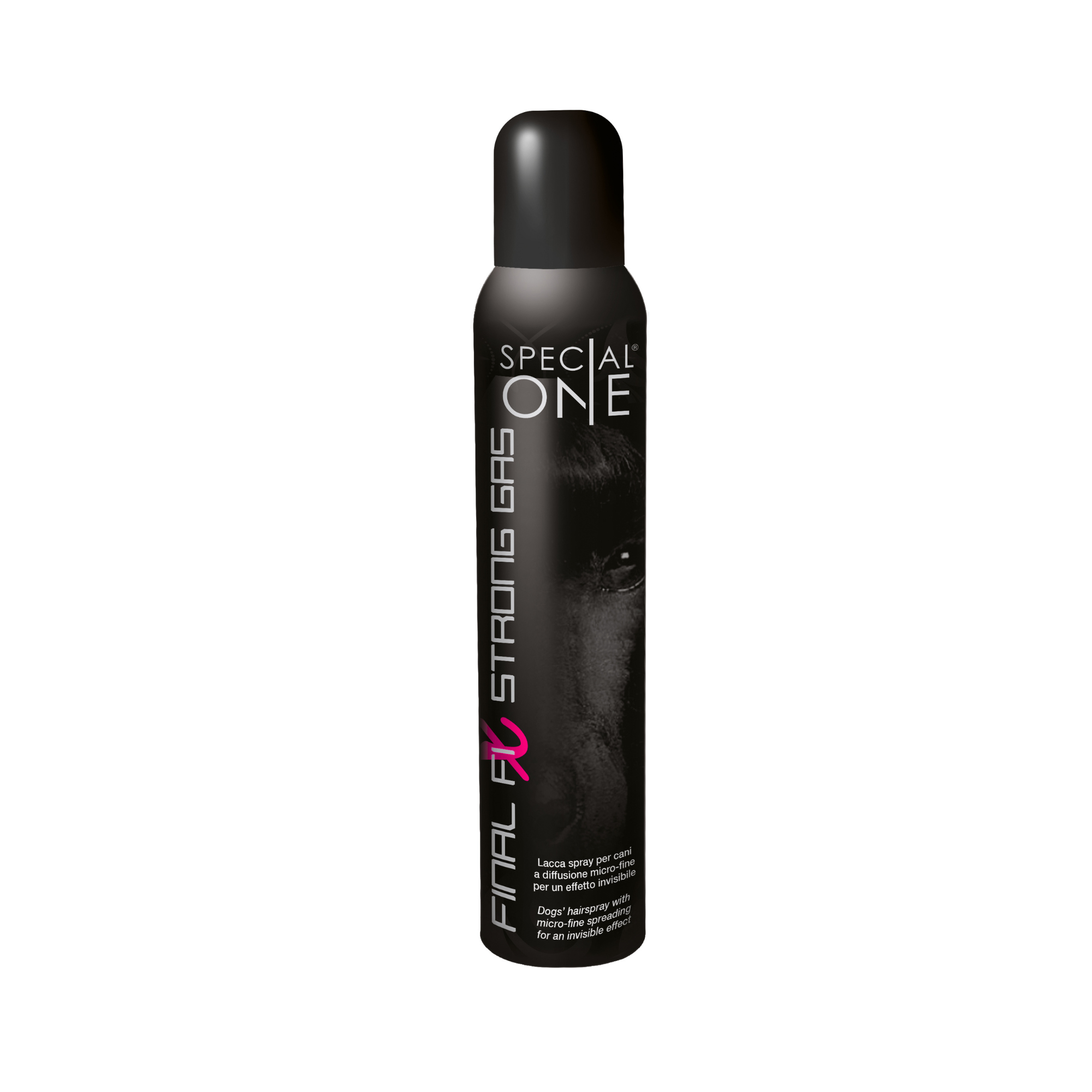 Laque FINAL FIX STRONG Gaz - Petdesign.fr