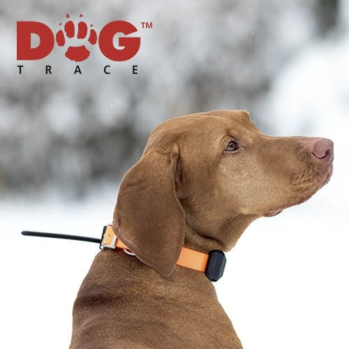 Additional X20 Collar (COLLAR Charger) - Petdesign.fr Setter Bakio S.L. Vie Quotidienne pour chien en France, produit de haute qualité