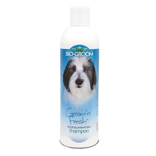 Bio-Groom Groom'n Fresh Shampoo 355ml - Petdesign.fr Setter Bakio S.L. Vie Quotidienne pour chien en France, produit de haute qualité