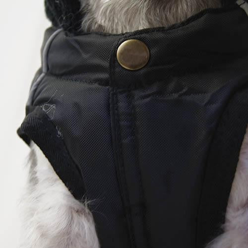 Manteau CHien Bleu Ciel Trek Breathe Comfort - Petdesign.fr Setter Bakio S.L. Vie Quotidienne pour chien en France, produit de haute qualité