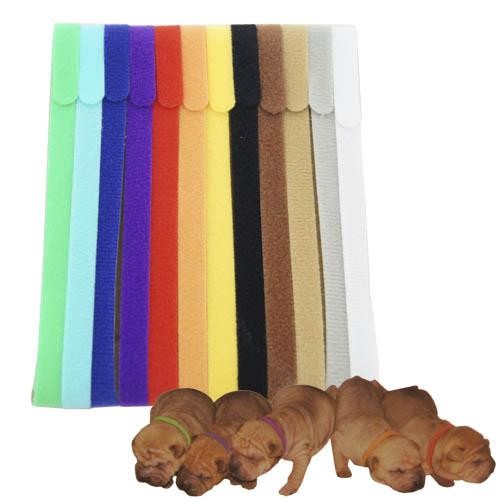 Ensemble de 12 colliers pour identifier les portées - Petdesign.fr Setter Bakio S.L. Vie Quotidienne pour chien en France, produit de haute qualité
