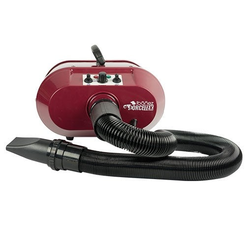 Forcetek Pulseur Séchoir Bi-Moteur (débit 146L/s) - Petdesign.fr Setter Bakio S.L. Toilettage pour chien en France, produit de haute qualité