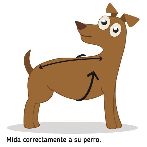 Manteau Chien Gris Trek Breathe-Comfort - Petdesign.fr Setter Bakio S.L. Vie Quotidienne pour chien en France, produit de haute qualité