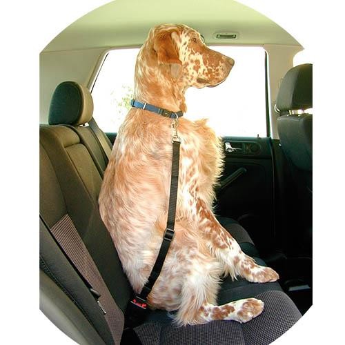 Lanière de Sécurité pour Chien en Voiture - Petdesign.fr Setter Bakio S.L. Vie Quotidienne pour chien en France, produit de haute qualité