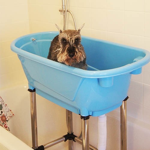 Baignoire Portable Tailor's Bath - Petdesign.fr Setter Bakio S.L. Toilettage pour chien en France, produit de haute qualité