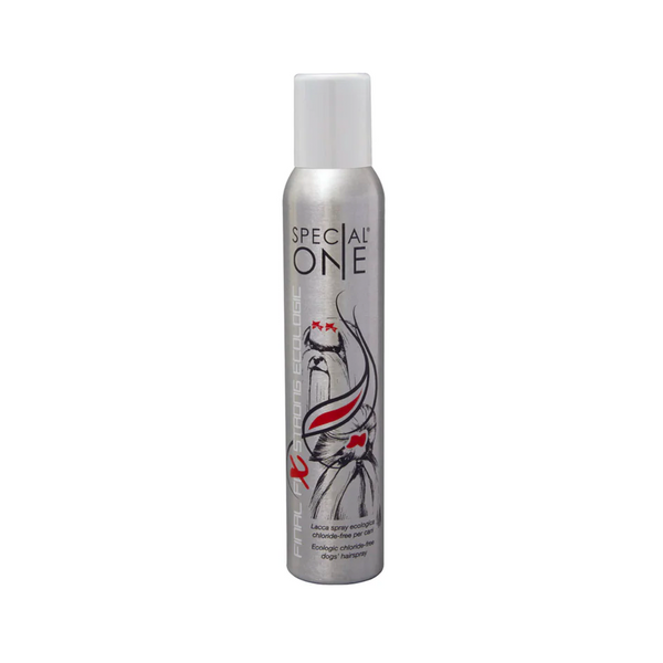 Laque FINAL FIX STRONG Ecologique