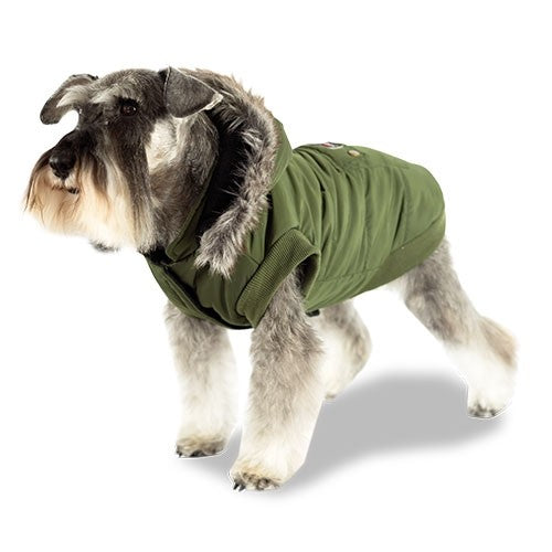 Manteau Chien Premium "Pilot" - Petdesign.fr Setter Bakio S.L. Vie Quotidienne pour chien en France, produit de haute qualité