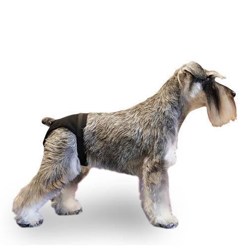 Noir Chien Heat Pants - Size 0 - Petdesign.fr Setter Bakio S.L. Vie Quotidienne pour chien en France, produit de haute qualité