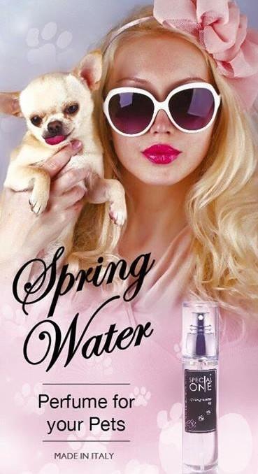 Parfum de Luxe, by Special One - Petdesign.fr Endemik Sas Bain pour chien en France, produit de haute qualité