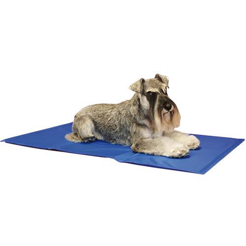 Tapis rafraichissant IBA - Petdesign.fr Setter Bakio S.L. Produits Iba pour chien en France, produit de haute qualité