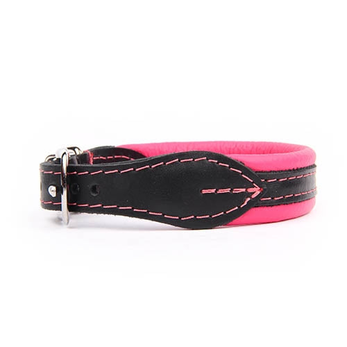 #N/A - Petdesign.fr Setter Bakio S.L. Produits Iba pour chien en France, produit de haute qualité