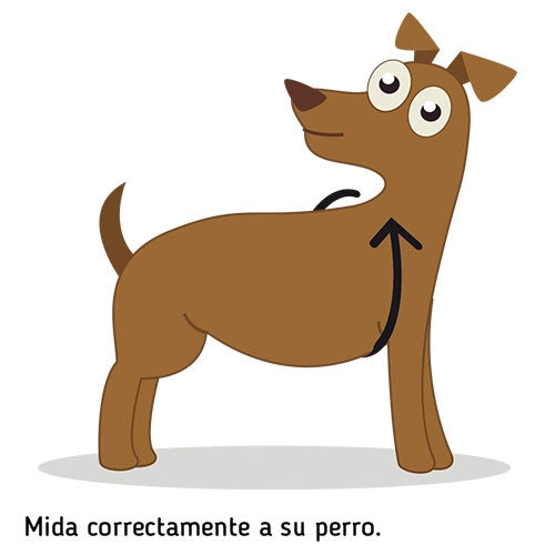 Harnais pour chien Unicolore (au choix) - Petdesign.fr Setter Bakio S.L. Produits Iba pour chien en France, produit de haute qualité