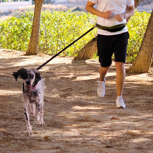 IBÁÑEZ RUNNING LAISSE ON GO - Petdesign.fr Setter Bakio S.L. Produits Iba pour chien en France, produit de haute qualité