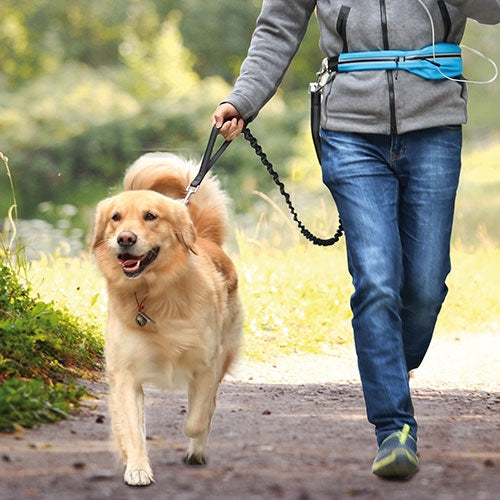 IBÁÑEZ RUNNING LAISSE ON GO - Petdesign.fr Setter Bakio S.L. Produits Iba pour chien en France, produit de haute qualité