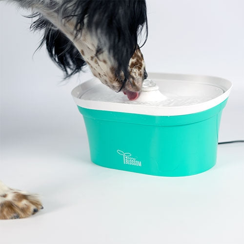 BLOSSOM PET Abreuvoirs 2,8 L - Petdesign.fr Setter Bakio S.L. Produits Iba pour chien en France, produit de haute qualité