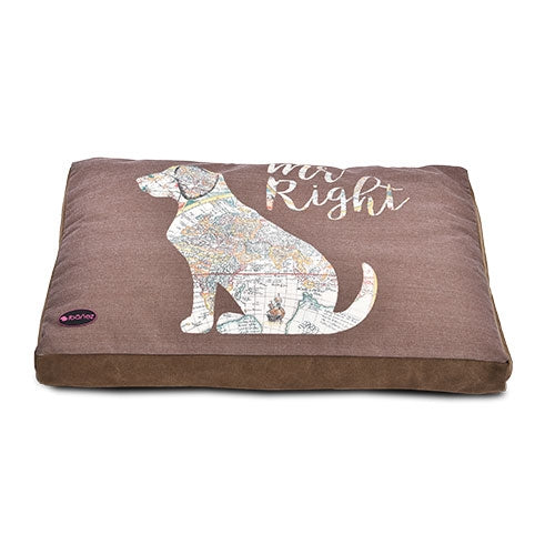 Tapis Epais Imprimé "Mr. Right" ou "Not Short" - Petdesign.fr Setter Bakio S.L. MR RIGHT - Grand Modèle Produits Iba pour chien en France, produit de haute qualité