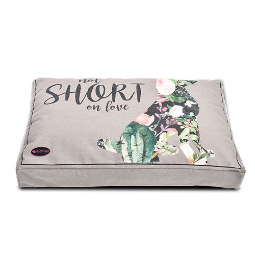 Tapis Epais Imprimé "Mr. Right" ou "Not Short" - Petdesign.fr Setter Bakio S.L. NOT SHORT - Grand Modèle Produits Iba pour chien en France, produit de haute qualité