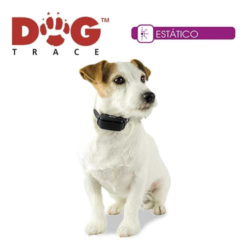 #N/A - Petdesign.fr Setter Bakio S.L. Produits Iba pour chien en France, produit de haute qualité