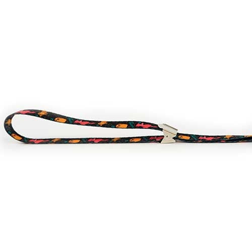 NOOSE "Dog Grooming" 1.5x53cm - Petdesign.fr Setter Bakio S.L. Produits Iba pour chien en France, produit de haute qualité