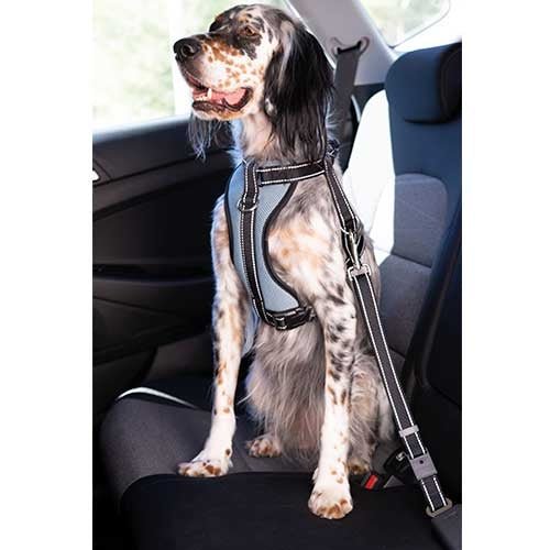 IBÁÑEZ Dogway VOITURE AVEC SELLERIE DE CEINTURE DE SECURITE S - Petdesign.fr Setter Bakio S.L. Produits Iba pour chien en France, produit de haute qualité