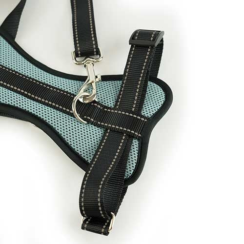 IBÁÑEZ Dogway VOITURE AVEC SELLERIE DE CEINTURE DE SECURITE S - Petdesign.fr Setter Bakio S.L. Produits Iba pour chien en France, produit de haute qualité