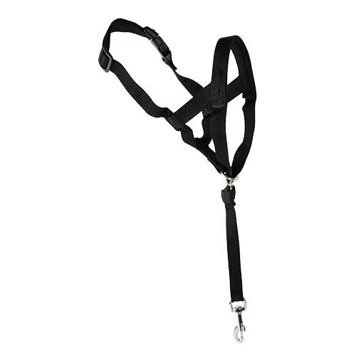 IBÁÑEZ Dogway CHIEN GUIDER XS - Petdesign.fr Setter Bakio S.L. Produits Iba pour chien en France, produit de haute qualité