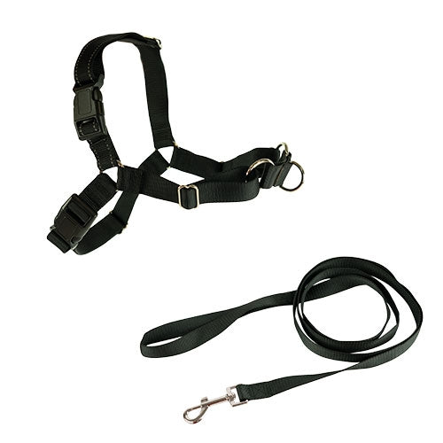 IBÁÑEZ Dogway STOP TIRER ET LAISSE S HARNAIS NOIR - Petdesign.fr Setter Bakio S.L. Produits Iba pour chien en France, produit de haute qualité