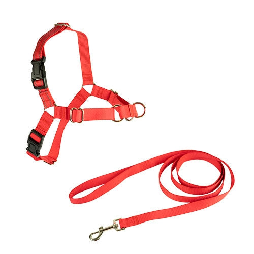 IBÁÑEZ Dogway STOP TIRER ET LAISSE S HARNAIS NOIR - Petdesign.fr Setter Bakio S.L. Produits Iba pour chien en France, produit de haute qualité