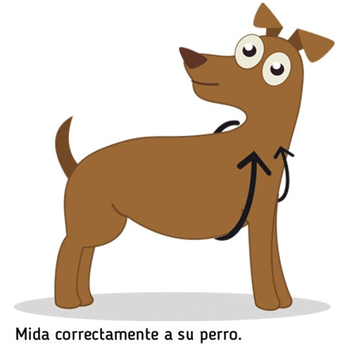 IBÁÑEZ Dogway STOP TIRER ET LAISSE S HARNAIS NOIR - Petdesign.fr Setter Bakio S.L. Produits Iba pour chien en France, produit de haute qualité