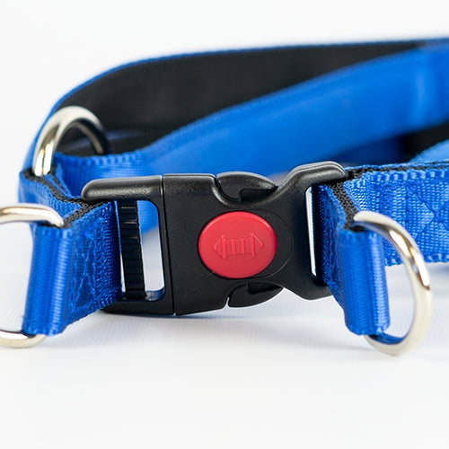 Harnais pour chien Unicolore (au choix) - Petdesign.fr Setter Bakio S.L. BLEU M Produits Iba pour chien en France, produit de haute qualité